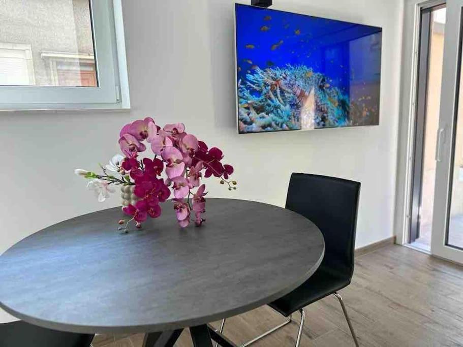 Apartment 1 Bedroom Flat